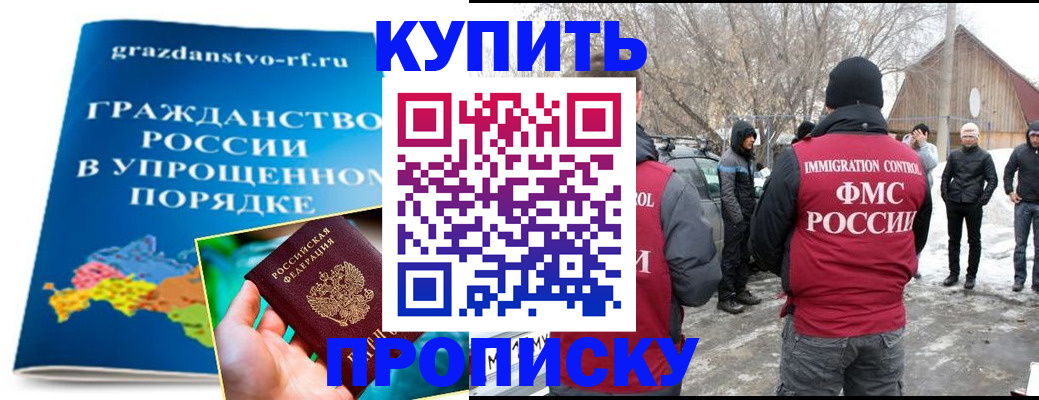 временная регистрация поиск в Курчалом